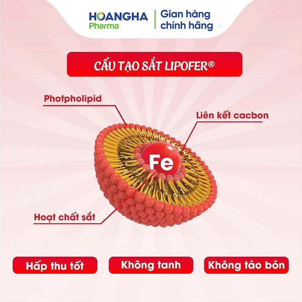 Dược Phẩm Hoàng Hà