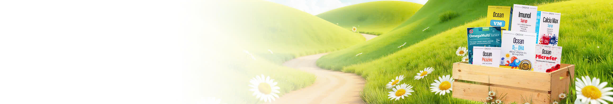 Dược Phẩm Hoàng Hà