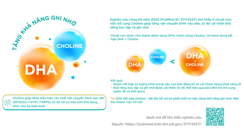 Sự kết hợp của DHA và Cholin trong Omega Multi Junior